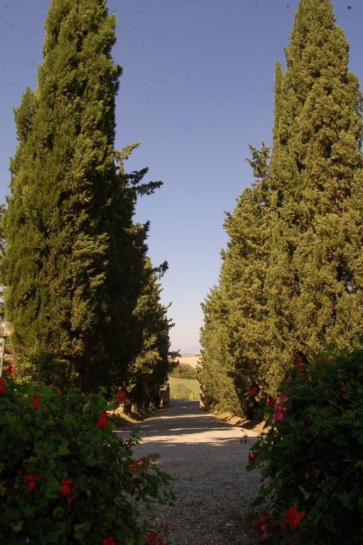 Agriturismo San Francesco Amalia And Anna Orciatico Extérieur photo