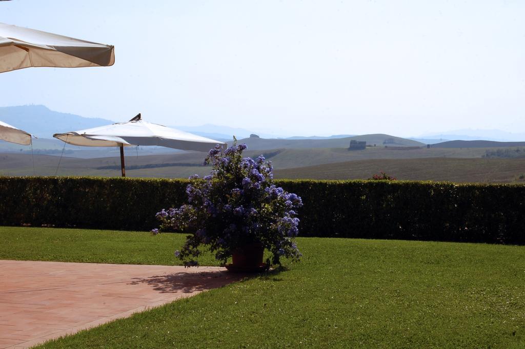 Agriturismo San Francesco Amalia And Anna Orciatico Extérieur photo